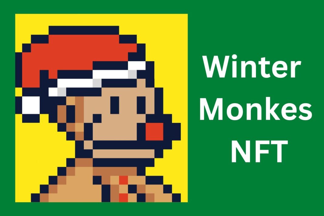 Winter Monkes NFT