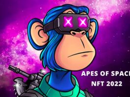 Apes Of Space NFT 2022