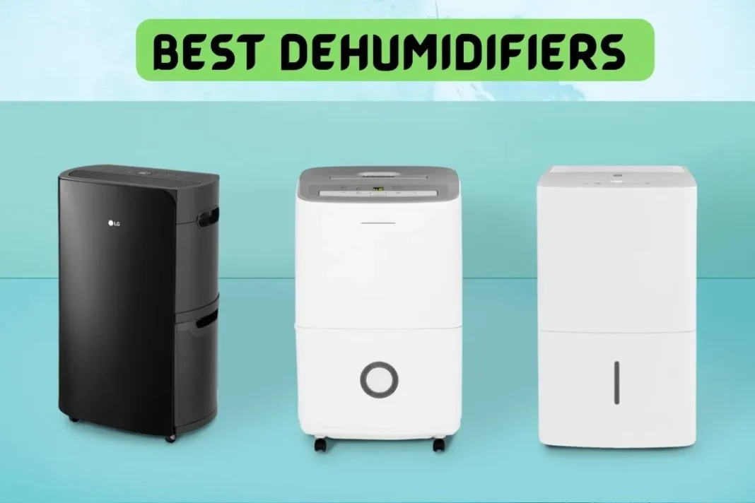 Best Dehumidifiers 2023